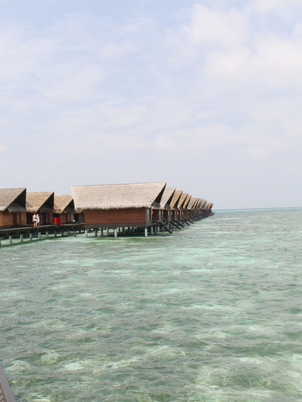 Les Maldives : Une lune de miel magique