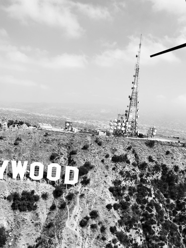 Grid Gallery Post Type