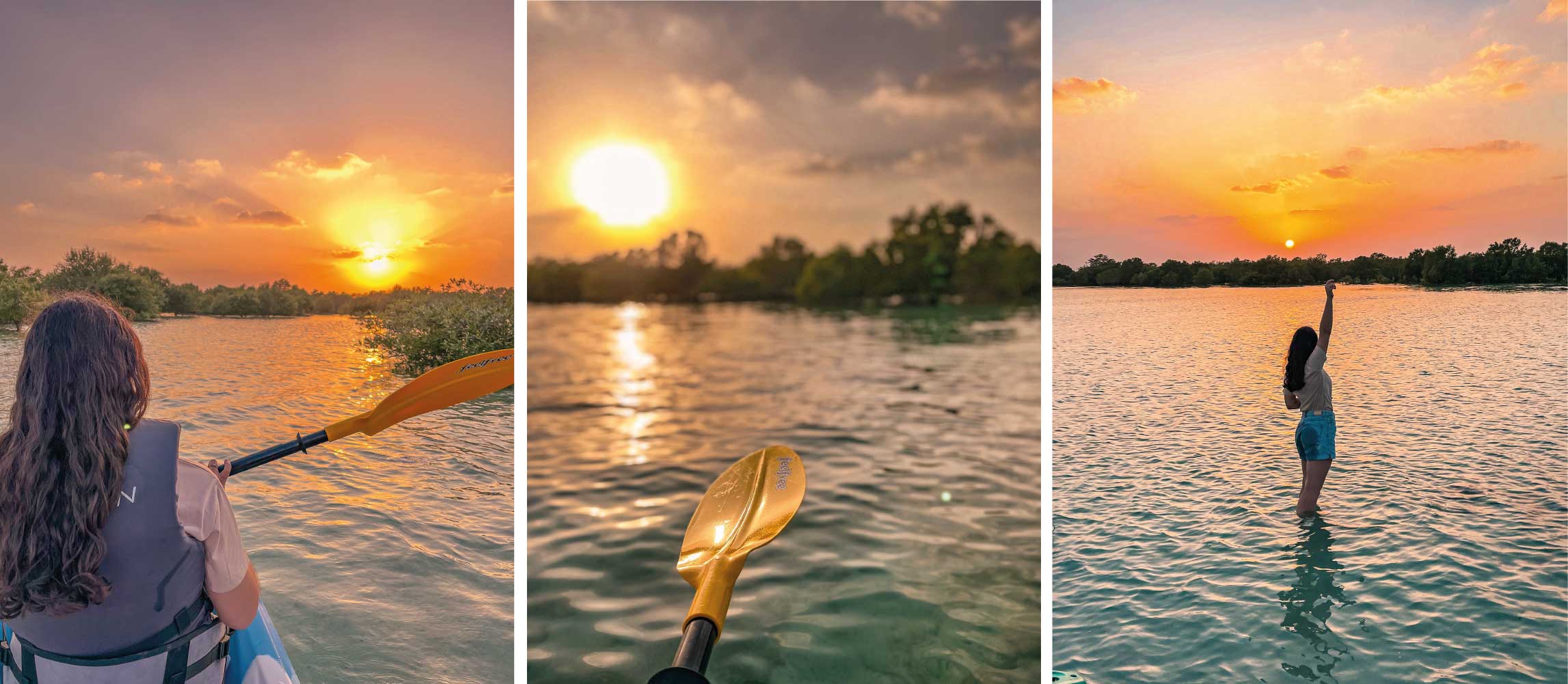 mangrove-park-abu-dhabi