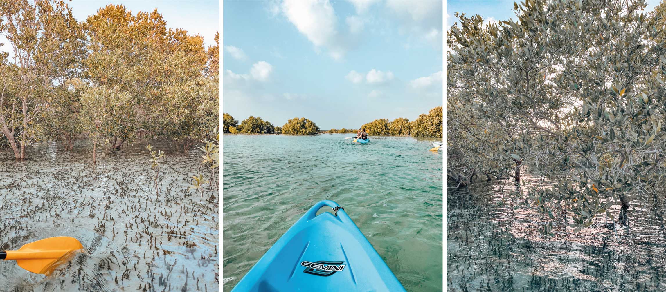 mangrove-park-abu-dhabi